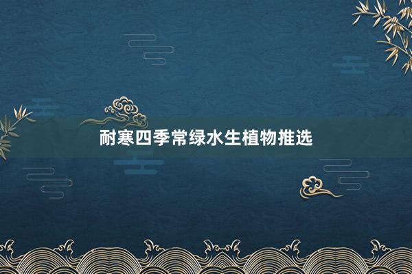 耐寒四季常绿水生植物推选
